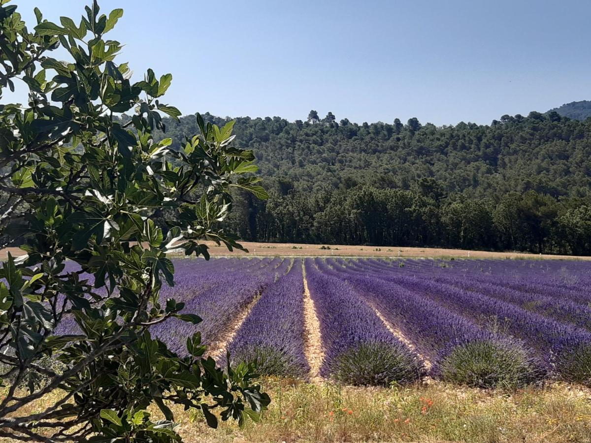 La Vita Dolce, Luberon Grambois Exterior foto